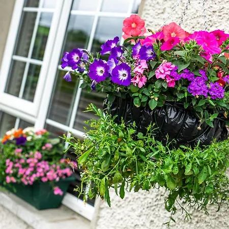 Nyaraló White House Buncrana