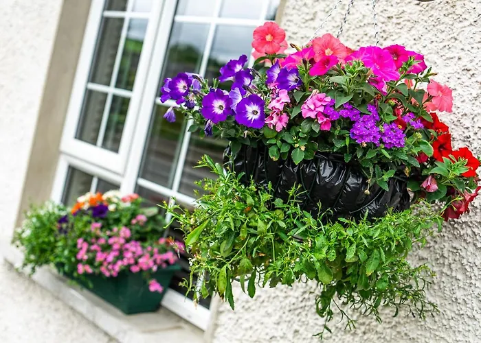 בית נופש White House בונקראנה